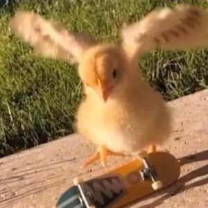 Meet your Posher, Doug